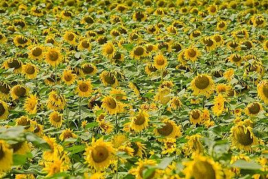 CRPG新作《New Arc Line》公布 魔法大战科技